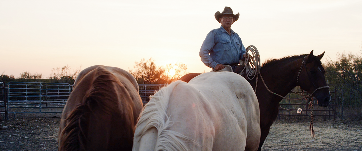 Mike on horseback in front of sunset